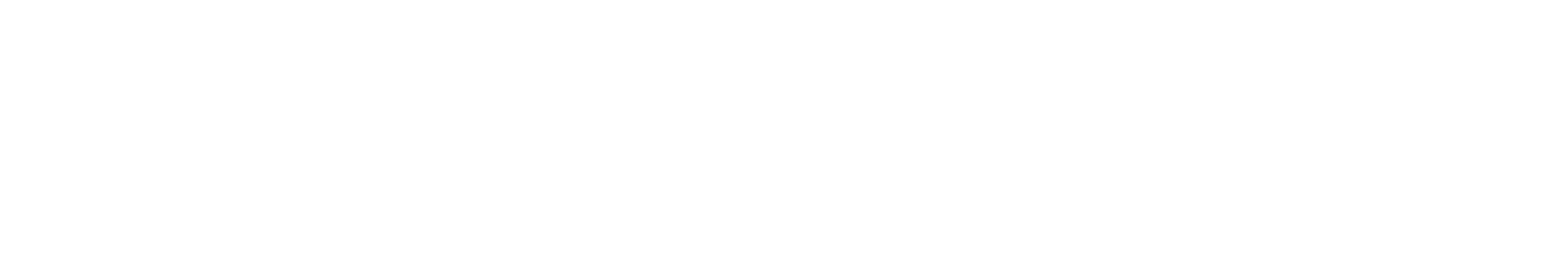 video watermark logo
