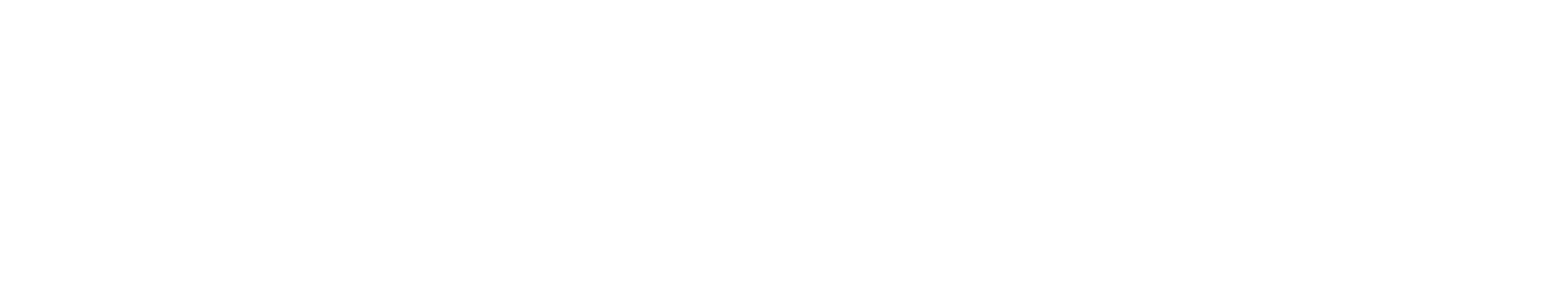 video watermark logo